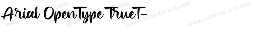 Arial OpenType TrueT字体转换